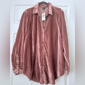 Torrid Velvet Tunic in Wild Ginger